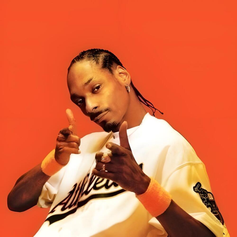 Snoop Dogg 豪華3LP レコード 未開封シールド 激レア新品大放出！ Snoop Dogg's New Album 'Iz It a Crime?' Album to Feature Pharrell